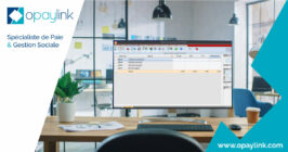 Quels sont les avantages de Silae : votre logiciel de paie indispensable ? Capture Ecran Silae Logiciel Paie