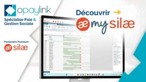 Capture d'écran de MySilae pour comprendre en détail MySilae