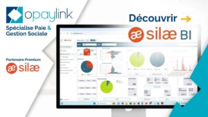 Tableau de bord de Silae BI pour visualiser les données d'une entreprise