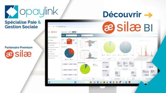 Tableau de bord de Silae BI pour visualiser les données d'une entreprise